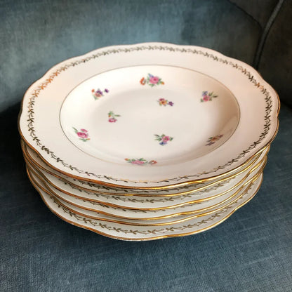 6 assiettes creuses fleuries